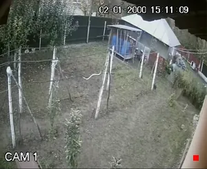 Caméra IP - RO