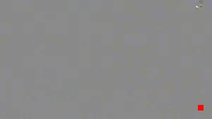 Caméra IP - IL
