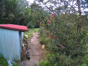 Caméra IP - TW