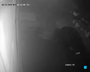 Caméra IP - IT