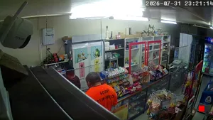 Caméra IP - NZ