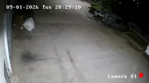 Caméra IP - IT