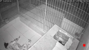 Caméra IP - ES