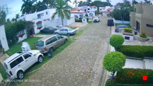 Caméra IP - MX