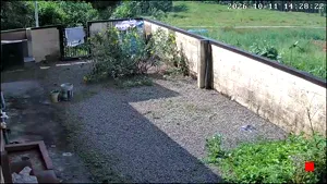 Caméra IP - IN