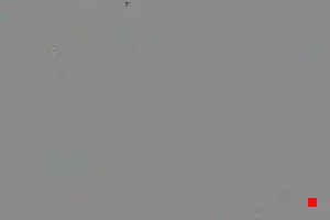 Caméra IP - IT