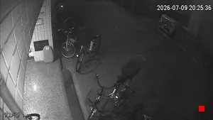 Caméra IP - JP