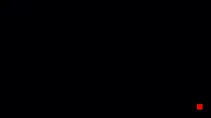 Caméra IP - US
