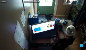 Caméra IP - US