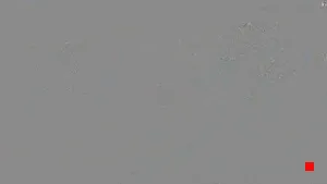 Caméra IP - ES