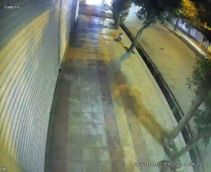 Caméra IP - IR