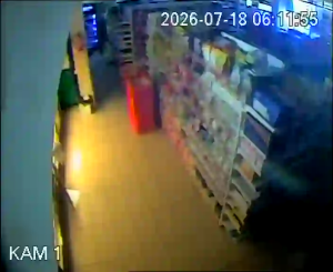 Caméra IP - PL