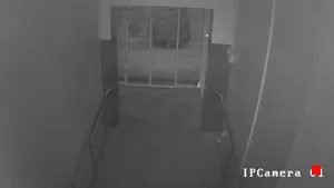 Caméra IP - MD