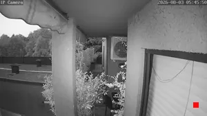 Caméra IP - IT