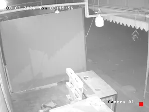 Caméra IP - MA