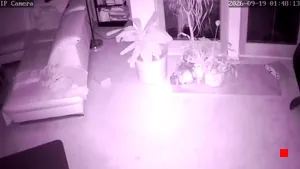 Caméra IP - DE