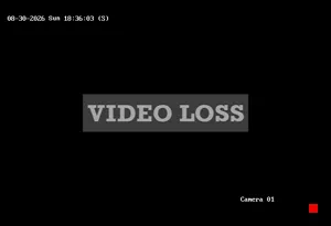 Caméra IP - US