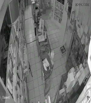 Caméra IP - AR