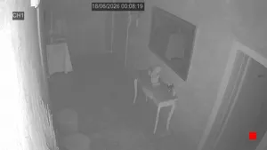 Caméra IP - IT