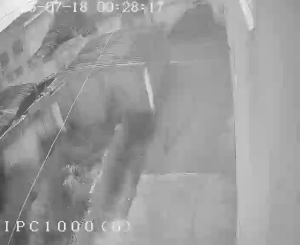 Caméra IP - IR