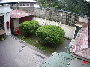 Caméra IP - CL