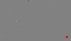 Caméra IP - US