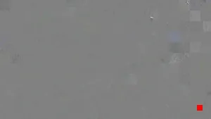 Caméra IP - IN