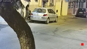 Caméra IP - ES