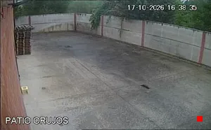 Caméra IP - ES