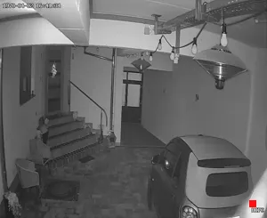 Caméra IP - DE