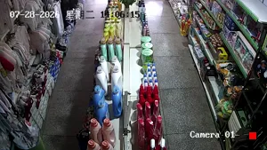 Caméra IP - CN