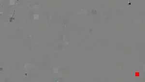 Caméra IP - IN