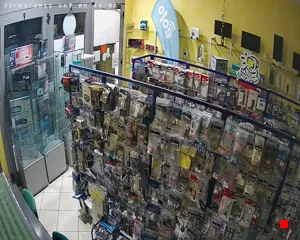 Caméra IP - IT