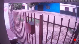 Caméra IP - AR