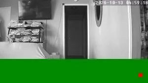 Caméra IP - US