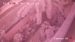 Caméra IP - TH