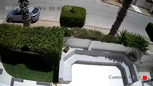 Caméra IP - TN
