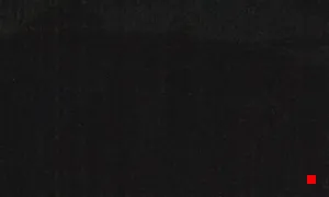 Caméra IP - DE