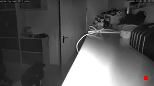 Caméra IP - DE
