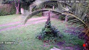 Caméra IP - AR