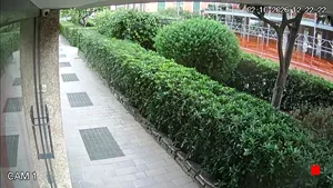 Caméra IP - IT