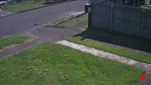 Caméra IP - NZ