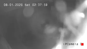 Caméra IP - US