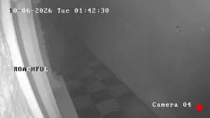 Caméra IP - US