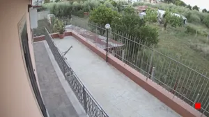Caméra IP - IT