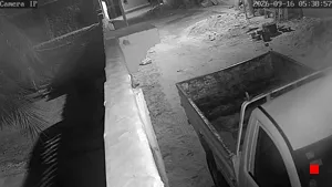 Caméra IP - TN