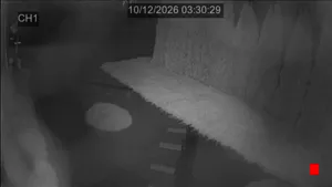 Caméra IP - PL