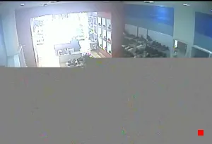 Caméra IP - MX