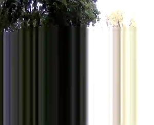Caméra IP - CA