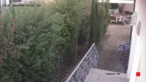 Caméra IP - DE